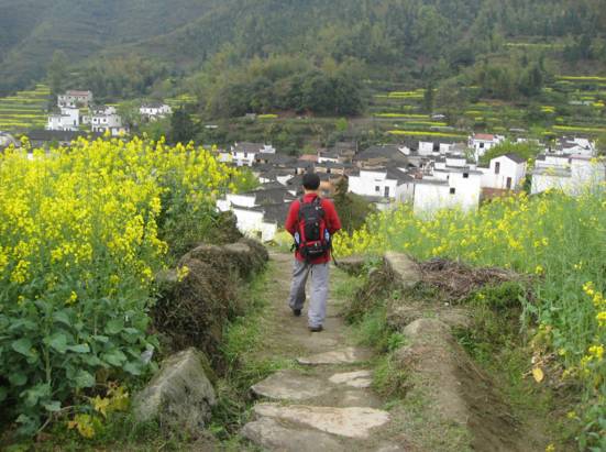 乡村新貌背后的挑战，新农村建设的现实困境