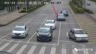 潍坊交通违章查询，便捷、高效，保障您的驾驶安全