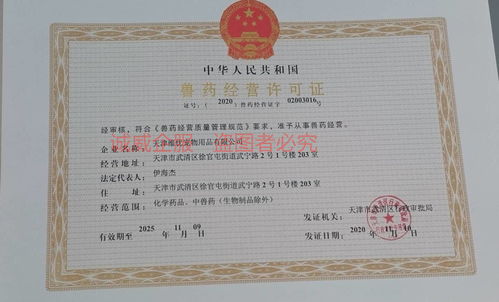 深入理解安全生产许可证代办，保障企业安全运营的关键