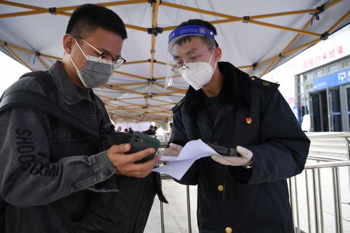 上海疫情新动态，新增10例本土确诊病例的应对与预防