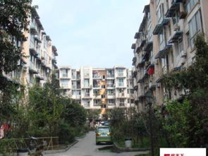 乐山房屋出租，探索四川乐山的租房市场与生活指南