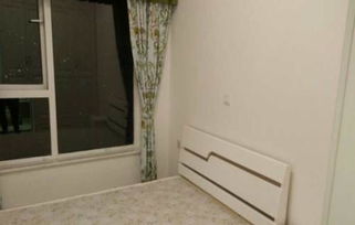 乐山房屋出租，探索四川乐山的租房市场与生活指南