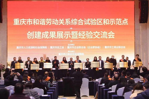 重庆市劳动和社会保障局，守护劳动者权益的坚实后盾