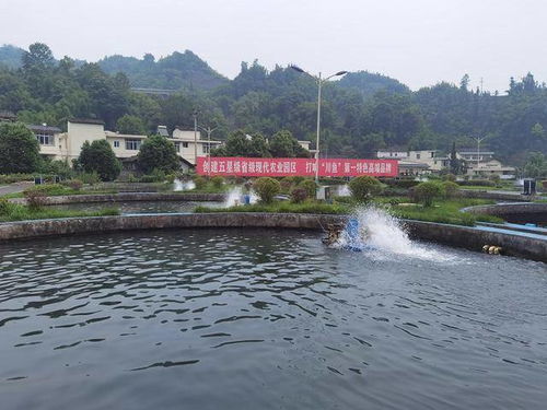 四川疫情新挑战，携手共渡难关