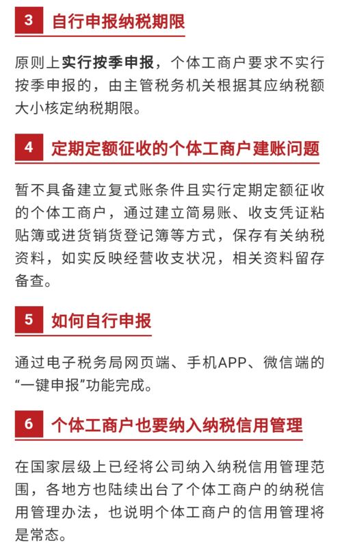 个体工商户报税全攻略，简化流程，轻松应对税务挑战