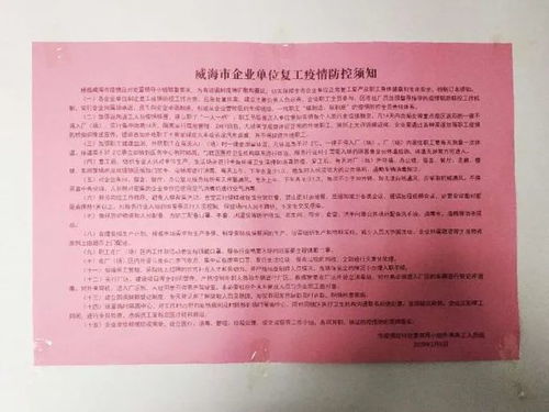 长春市疫情最新情况，了解、预防与应对指南