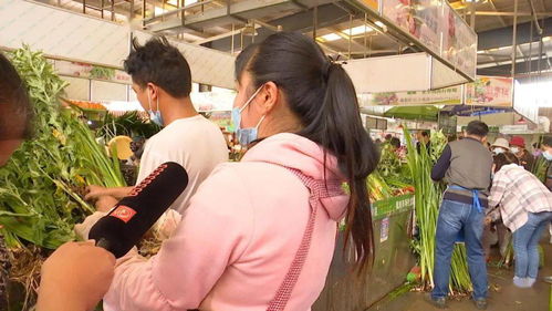 如皋二手房市场全解析，如何找到理想的家