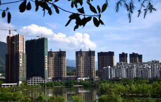 呼和浩特解封时刻，城市复苏的曙光与挑战