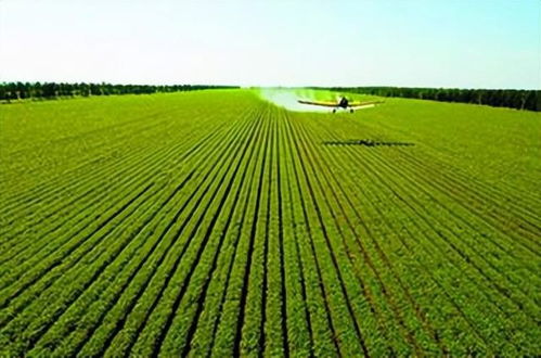 保护绿意，耕耘未来，一起了解耕地占用税