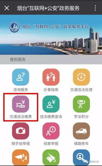 重庆市交通违章查询，便捷、高效、透明