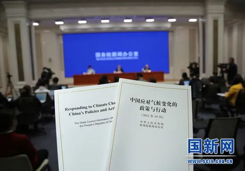中国双重国籍，政策、影响与国际视野
