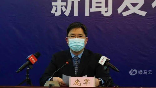 广西百色疫情，最新动态与防控措施解析