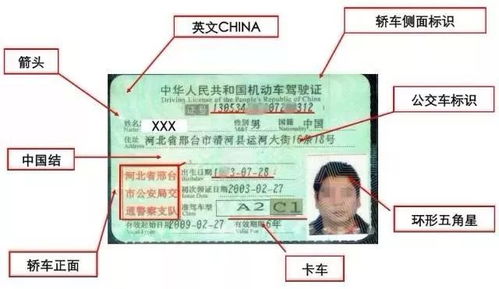 深圳市交通违法查询指南，如何快速、准确地掌握你的驾驶记录