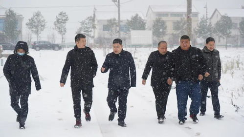 宁夏疫情最新动态，了解、预防与应对