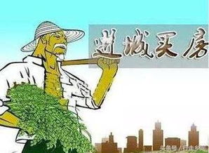 农村社会养老保险，保障农民福祉，构筑和谐乡村