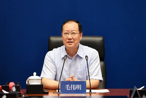 临安市公安局，守护平安的铁壁铜墙