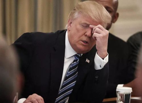 武汉复苏，疫情最新动态与市民生活