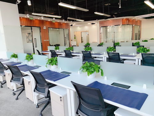 北京两限房政策，为中低收入家庭提供住房保障的桥梁