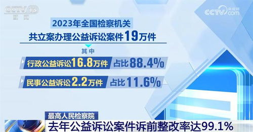 公益诉讼的力量，案例分析与社会影响