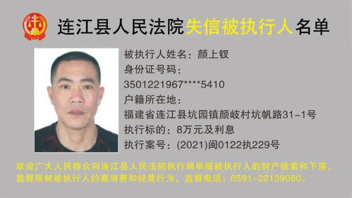 全国被执行人，了解、应对与防范