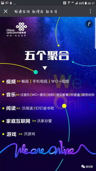 成立投资公司，关键步骤与成功策略