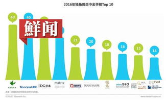 成立投资公司，关键步骤与成功策略