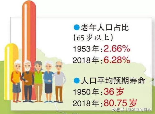 深入解析，66岁退休延迟政策的影响与应对策略