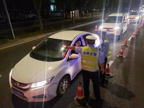 台州交通违章查询，便捷、高效，保障您的驾驶安全