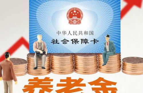 养老保险一次性补缴，全面解读与操作指南