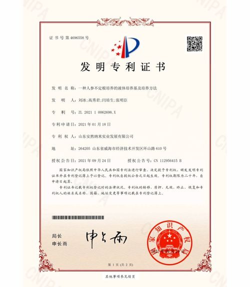 揭秘国家发明专利号查询，如何验证创新成果的合法性与价值