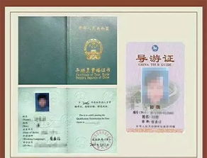 深入了解导游证报考条件，开启你的旅游行业之旅