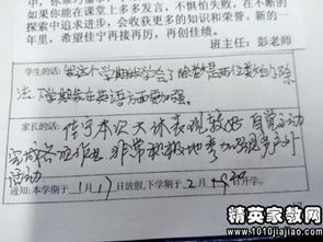 掌握调档函写作技巧，专业范文与实用指南