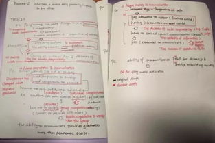 掌握调档函写作技巧，专业范文与实用指南