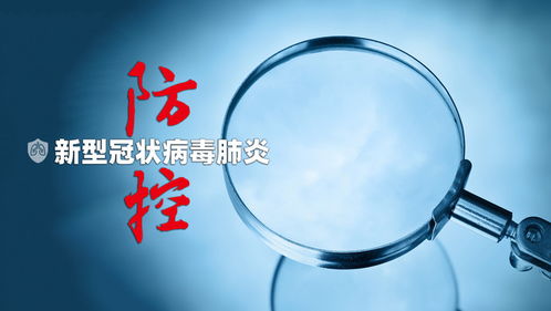 河北疫情新动态，最新通报与防控措施解析