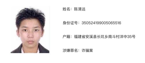 新疆的守护者，200余名嫌犯落网记