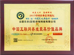 中国农业银行金穗卡，金融科技的便利与安全