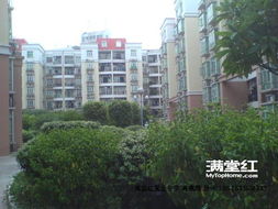 石湾二手房，温馨家园的起点，投资生活的新篇章