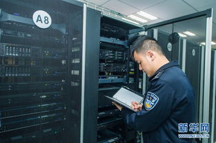 黑鹰安全网，网络安全的守护者