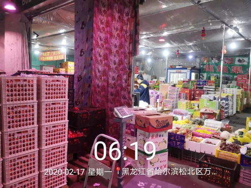 哈尔滨疫情新动态，防控措施、影响及未来展望