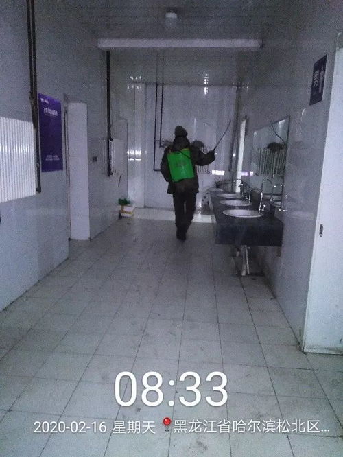 哈尔滨疫情新动态，防控措施、影响及未来展望