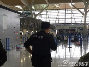 上海浦东机场爆炸案，深入解析与安全防范