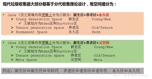 深入了解95781，一个关键电话号码的解析与应用