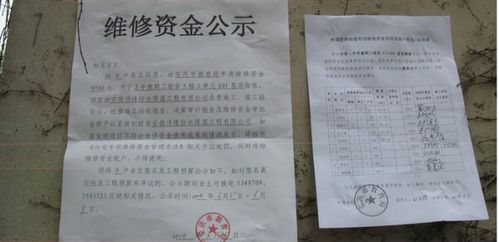 如何撰写一份专业且有效的申请书，格式与技巧全解析