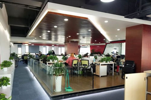 郑州台球厅转让，机遇与挑战并存的商业接力棒