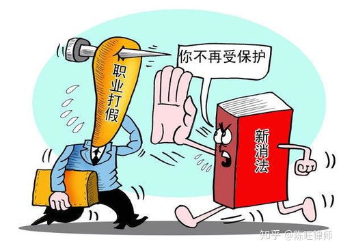 行政行为法，秩序与公正的双重奏