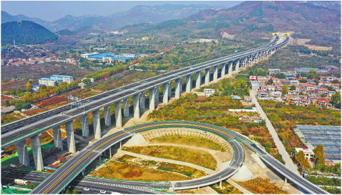 山东人事局，人才引进与地方发展的桥梁