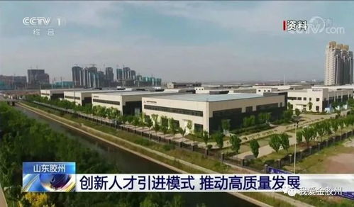 山东人事局，人才引进与地方发展的桥梁