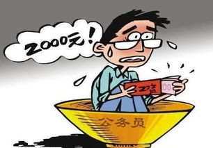 地税局待遇，公务员岗位的吸引力与挑战