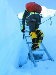 王立军轮椅，从挑战到希望，一个关于坚韧与创新的故事