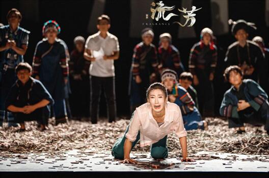 王立军轮椅，从挑战到希望，一个关于坚韧与创新的故事